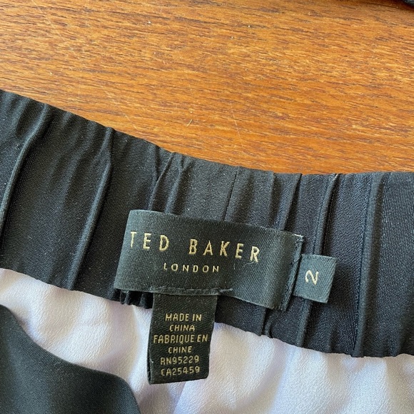 Ted Baker Beautiful Accordion Dress - Picture 3 of 6